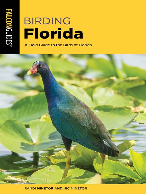 Cover image for Birding Florida